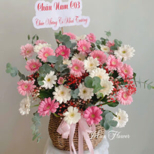 Giỏ Đồng Tiền Hồng Pastel Ngọt Ngào Và Tươi Mới