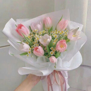 Bó Hoa Tulip Hồng Pastel Nhẹ Nhàng Sang Trọng
