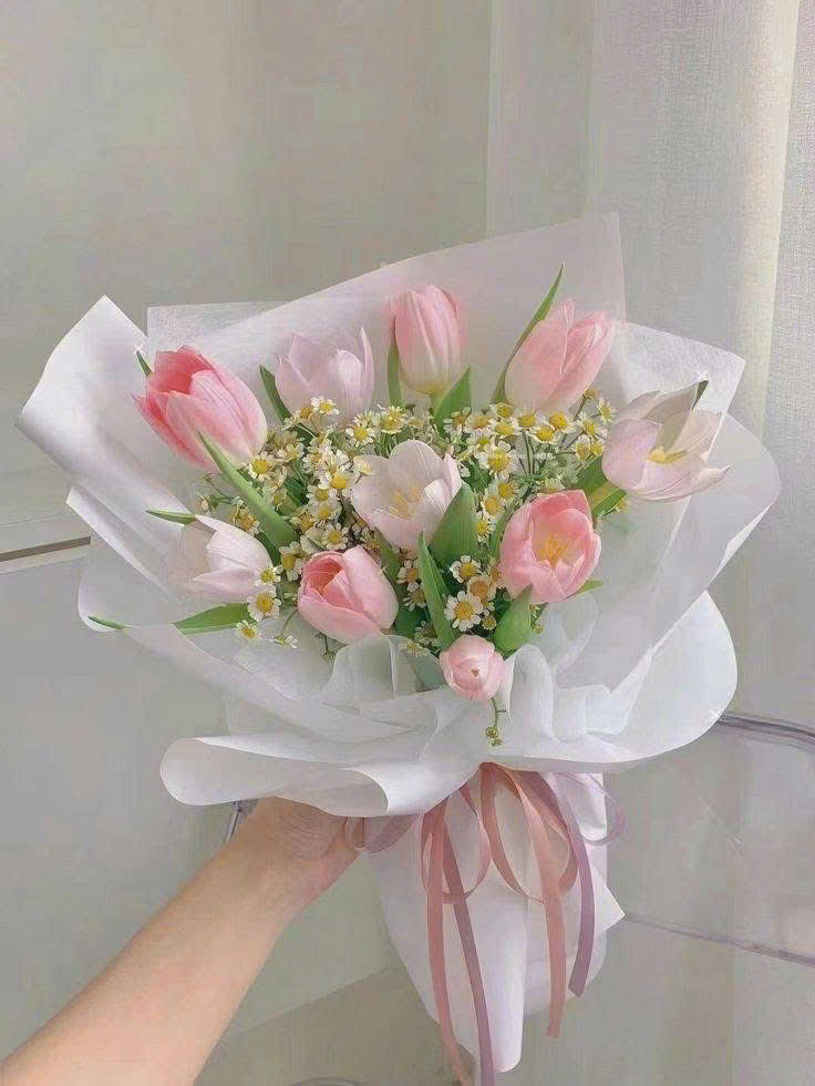 Bó Hoa Tulip Hồng Pastel Nhẹ Nhàng Sang Trọng