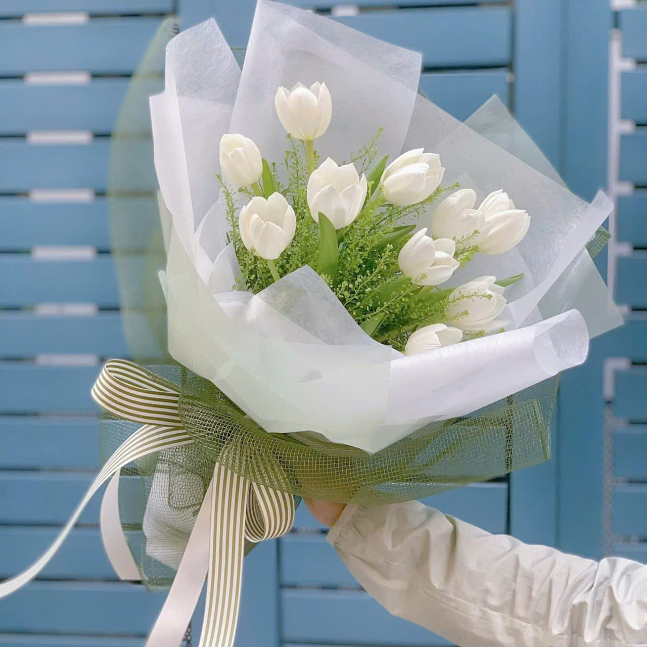 Bó Tulip Trắng Cao Cấp Tặng Người Thương