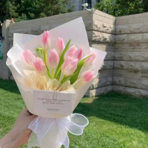 Hoa Tulip Tone Hồng Hàn Quốc Thanh Lịch